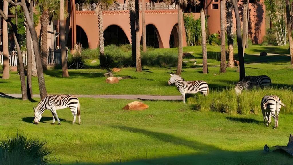 Disney'S Animal Kingdom Lodge Four Corners Exterior foto